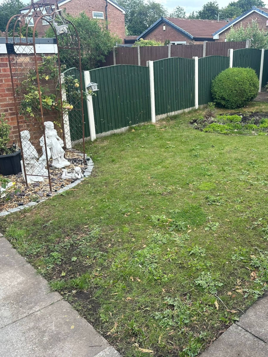 service single images