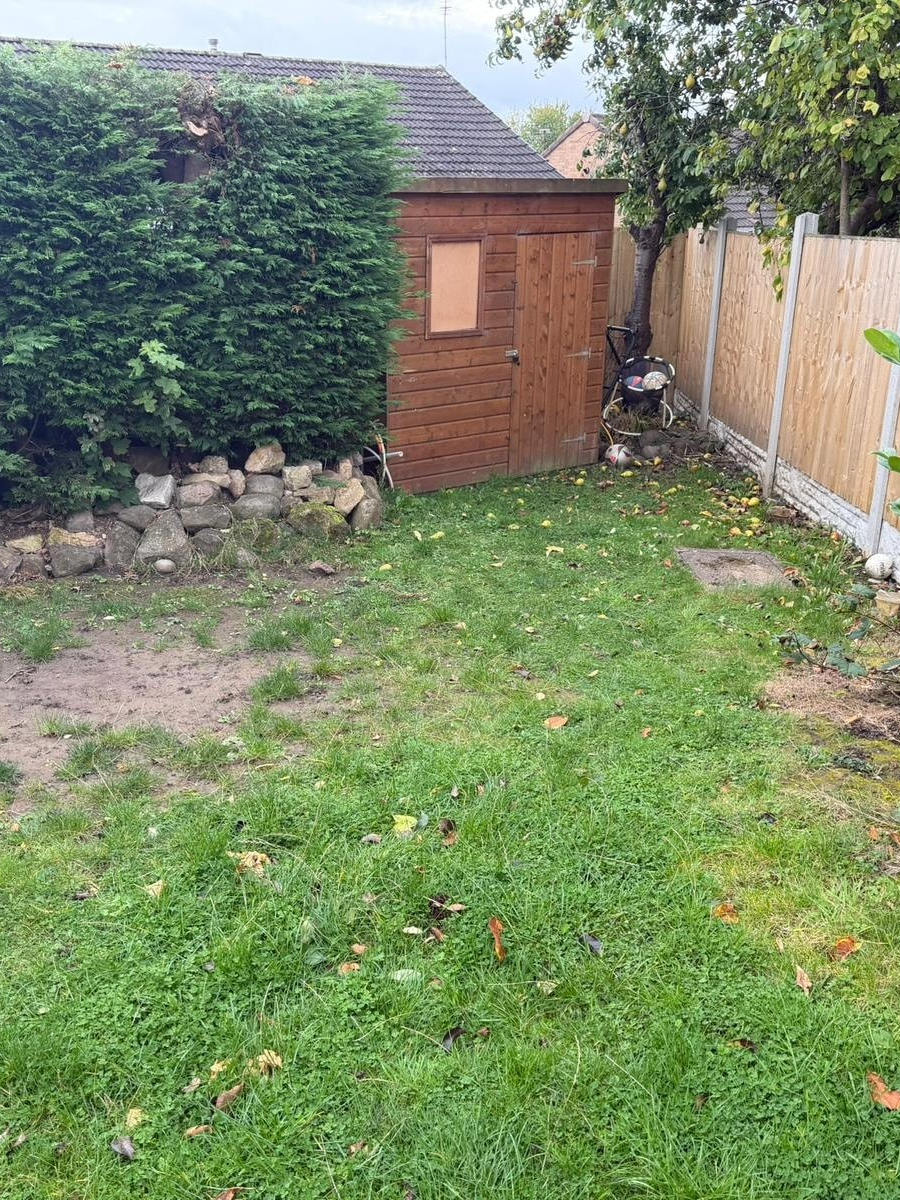 service single images